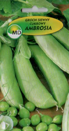 купити польське насіння квітів овочів оптом