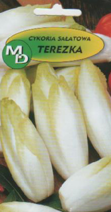 купити польське насіння квітів овочів оптом