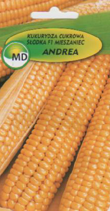 купити польське насіння квітів овочів оптом