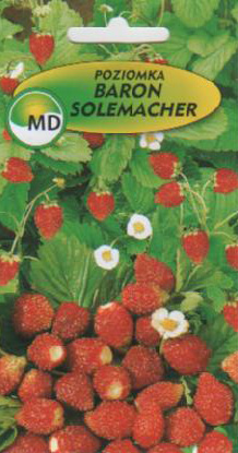 купити польське насіння квітів овочів оптом